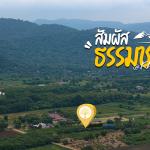 ที่ดิน ต.กลางดง วิวเขาใหญ่ชัดทุกมุมพร้อมถนนลาดยาง  น้ำไฟถึงเหมาะสำหรับสร้างบ้านพักตากอากาศหรือรีสอร์ต