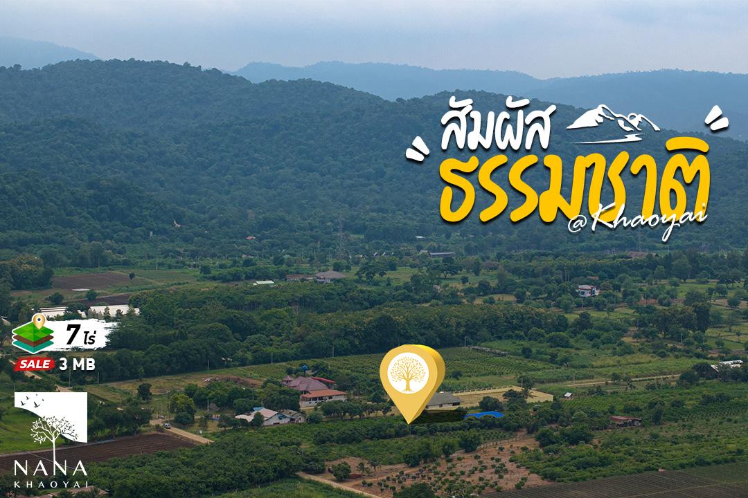 ที่ดิน ต.กลางดง วิวเขาใหญ่ชัดทุกมุมพร้อมถนนลาดยาง  น้ำไฟถึงเหมาะสำหรับสร้างบ้านพักตากอากาศหรือรีสอร์ต