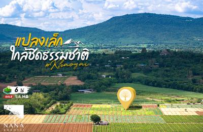 ที่ดินเขาใหญ่ แปลงเล็ก 6-1-49 ไร่ วิวสวยรอบทิศ  ที่ดินเนินเขา อากาศดี วิวสวย