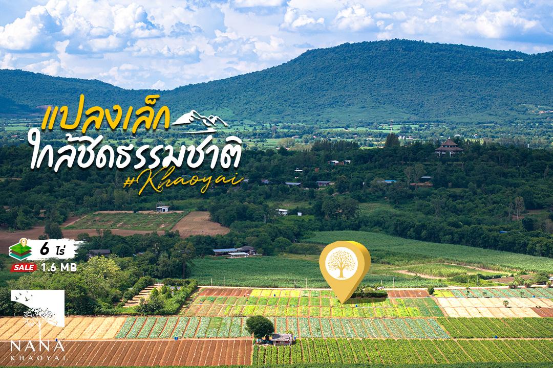 ที่ดินเขาใหญ่ แปลงเล็ก 6-1-49 ไร่ วิวสวยรอบทิศ  ที่ดินเนินเขา อากาศดี วิวสวย