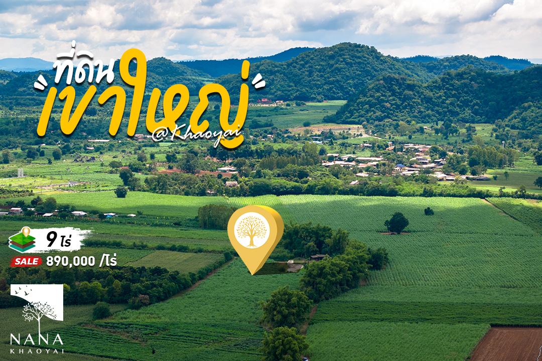 ที่ดินวิวเขาใหญ่แท้ ทำเลคลองม่วง พื้นที่ราบวิวภูเขา เหมาะสร้างรีสอร์ตพูลวิลล่าหรือบ้านพักส่วนตัว