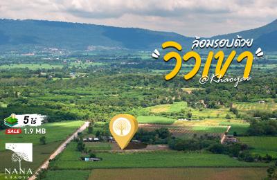 ที่ดิน 5 ไร่ วิวเขาใหญ่แท้ หน้ากว้างติดถนนลาดยาง ดินดี วิวโล่ง อากาศบริสุทธิ์