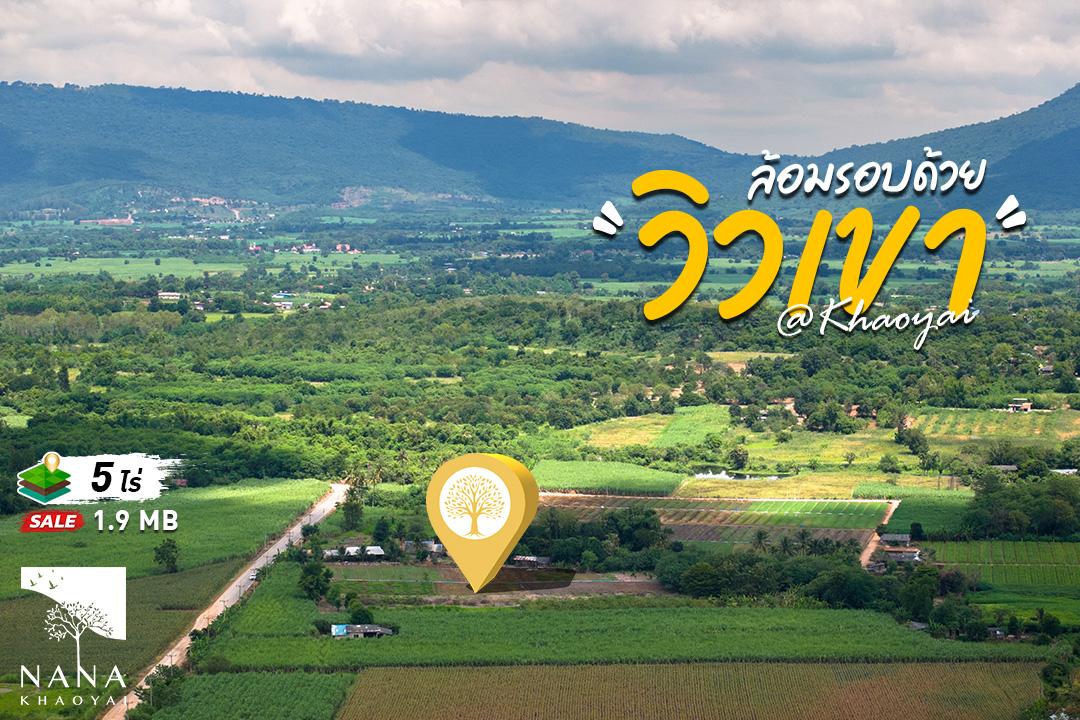 ที่ดิน 5 ไร่ วิวเขาใหญ่แท้ หน้ากว้างติดถนนลาดยาง ดินดี วิวโล่ง อากาศบริสุทธิ์