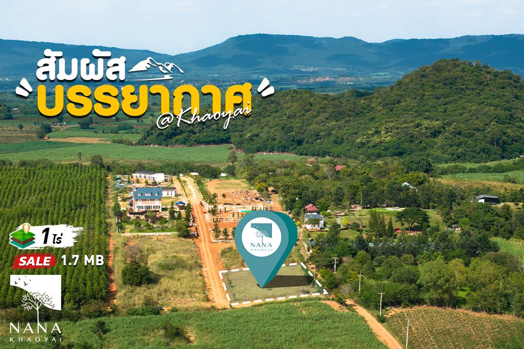 ขายด่วน วิวภูเขาแท้ 100%: ได้วิวภูเขาเปิดโล่งโอบรอบแปลง  บรรยากาศเงียบสงบส่วนตัว