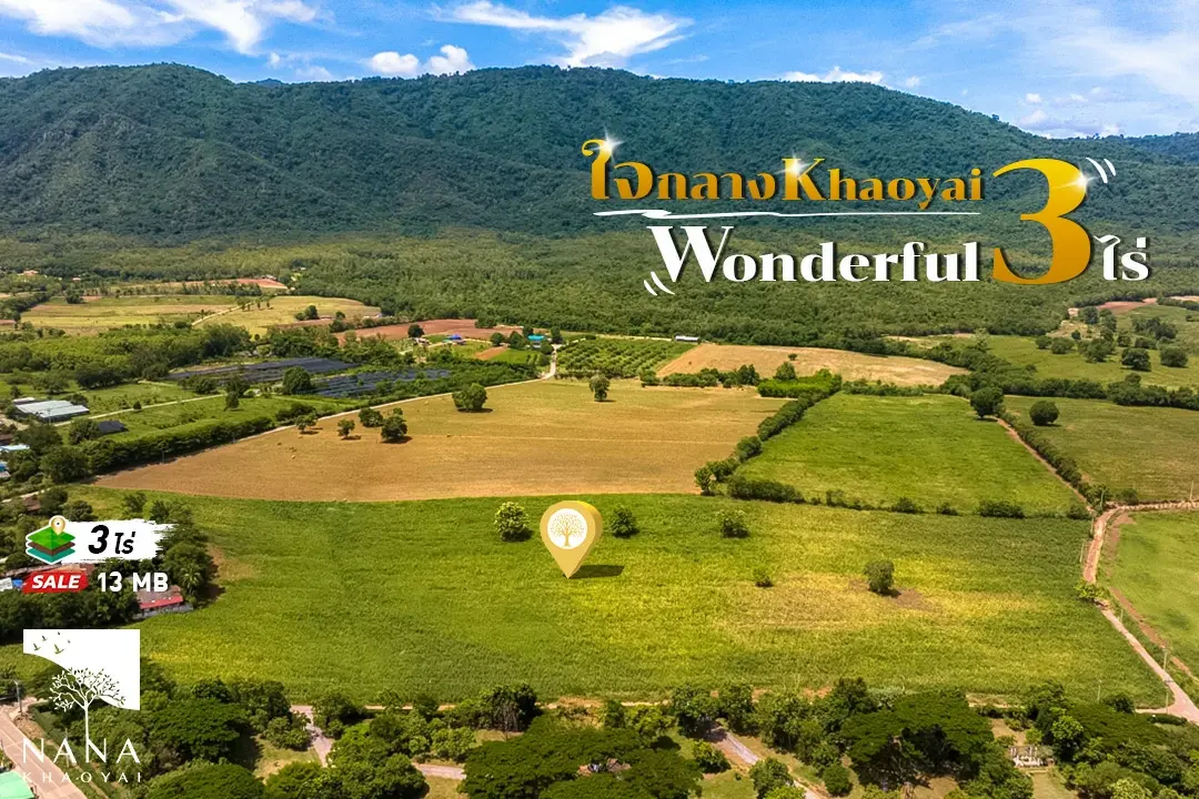 ขายด่วน ที่ดินเขาใหญ่ ทำเลทองกลางหุบเขา 11‑1‑69.3 ไร่ | วิวภูเขาพาโนรามา  | 13 ลบ./ไร่ | ใกล้ Toscana Valley & รีสอร์ตชื่อดังเหมาะสำหรับการลงทุน