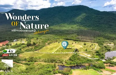 ที่ดินแปลงสวยโซนเขาใหญ่ ขนาด 4 ไร่เศษ โอบล้อมด้วยเขาและพื้นที่สีเขียว  ติดถนนคอนกรีตหน้าที่ดิน บรรยากาศเงียบสงบ เป็นส่วนตัว