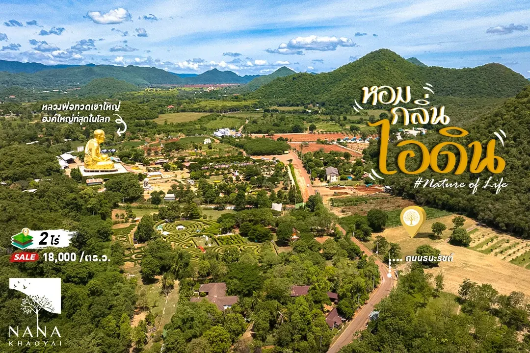 ขายที่ดินเขาใหญ่ หมูสี   ช ทำเลทองท่ามกลางแหล่งท่องเที่ยว ใกล้ถนนธนะรัชต์ 3.6 กม.   18,000 บ./ตร.วา (รวม 18 ลบ.)