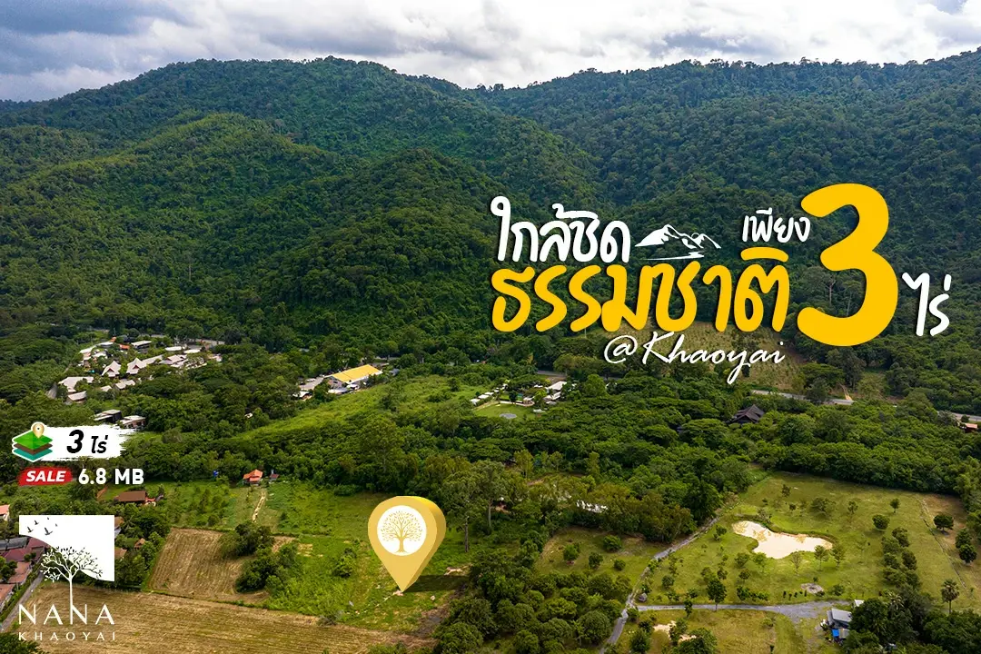 ขายด่วน! ที่ดินติดอุทยานแห่งชาติเขาใหญ่ แปลงเล็ก 3ไร่  ตรงข้ามโครงการสุดหรู Banyan Tree Residences หาไม่ได้อีกแล้ว