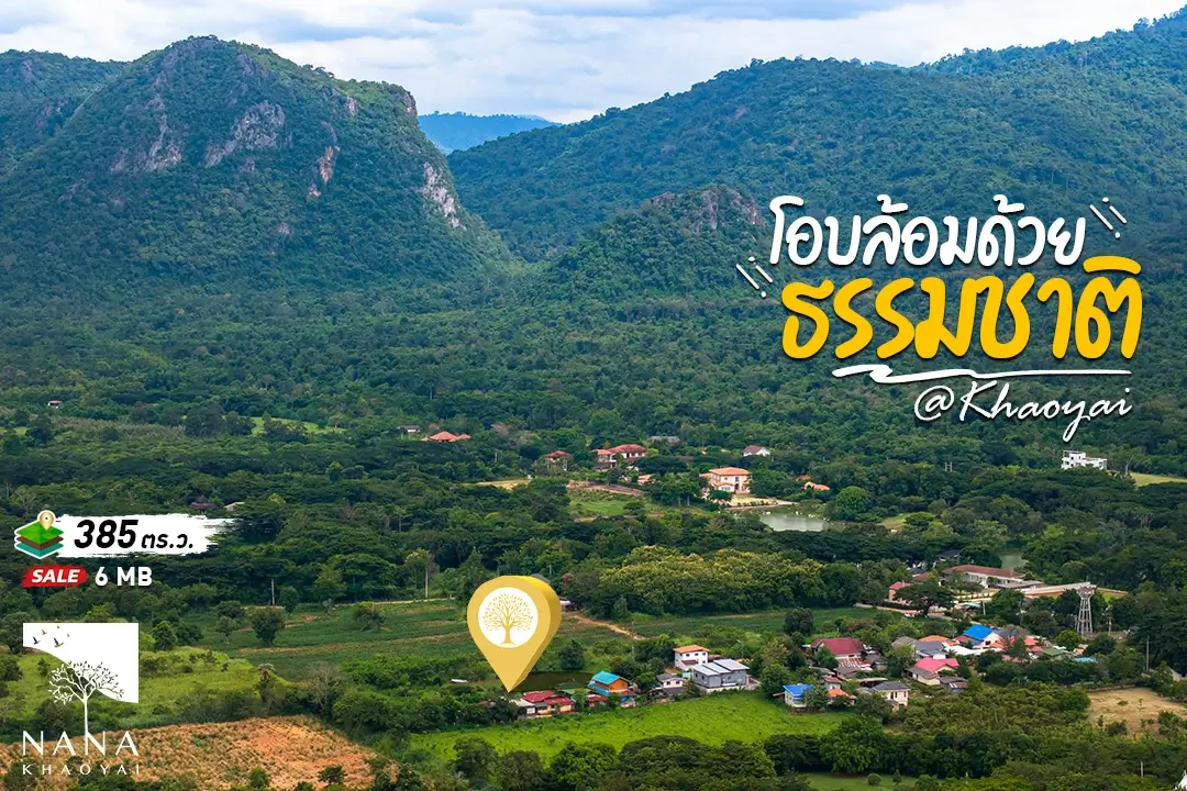 ขายด่วน! ที่ดินเขาใหญ่แปลงเล็ก 385 ตร.ว.ใกล้ชุมชน วิวภูเขาล้อมรอบ  เหมาะสำหรับสร้างบ้านพักตากอากาศ