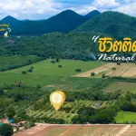 ขายด่วน ที่ดินเขาใหญ่ ติดถนนลาดยาง ราคาถูก เพียง 3.7 ล้าน/ไร่  โอกาสที่ไม่ควรพลาดสำหรับนักลงทุน