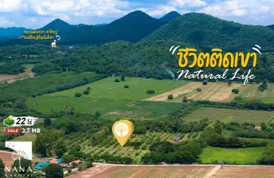 ขายด่วน ที่ดินเขาใหญ่ ติดถนนลาดยาง ราคาถูก เพียง 3.7 ล้าน/ไร่  โอกาสที่ไม่ควรพลาดสำหรับนักลงทุน