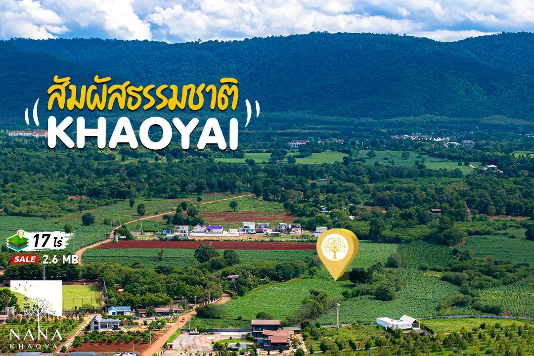 ขายที่ดินหมูสี ราคาร้อนเงิน 2.6ลบ./ไร่ (ปกติ 4.5 ล./ไร่) ติดถนนคอนกรีต วิวเขาล้อมรอบ  โอกาสที่ห้ามพลาด ราคานี้หายากมากในทำเลหมูสี