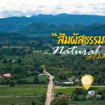 ที่ดินเขาใหญ่ ทำเลทอง 6 ไร่ 3 งาน ใจกลางหมูสี ติดถนน วิวเขาพาโนราม่า  ราคาสามารถต่อรองได้อีก