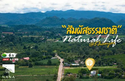 ที่ดินเขาใหญ่ ทำเลทอง 6 ไร่ 3 งาน ใจกลางหมูสี ติดถนน วิวเขาพาโนราม่า  ราคาสามารถต่อรองได้อีก