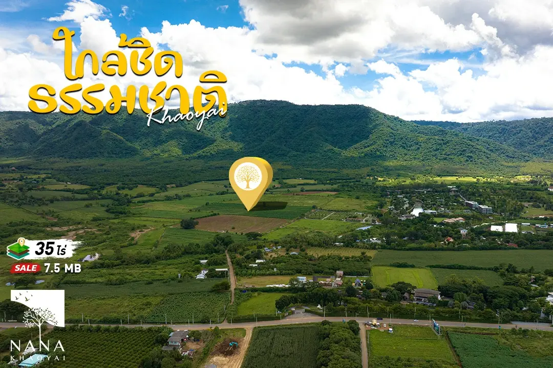 ขายที่ดินเขาใหญ่ ใกล้โรงแรมหรู ดุสิต D2 วิวเขาใหญ่ผากระดาษ  เหมาะสำหรับนักลงทุน