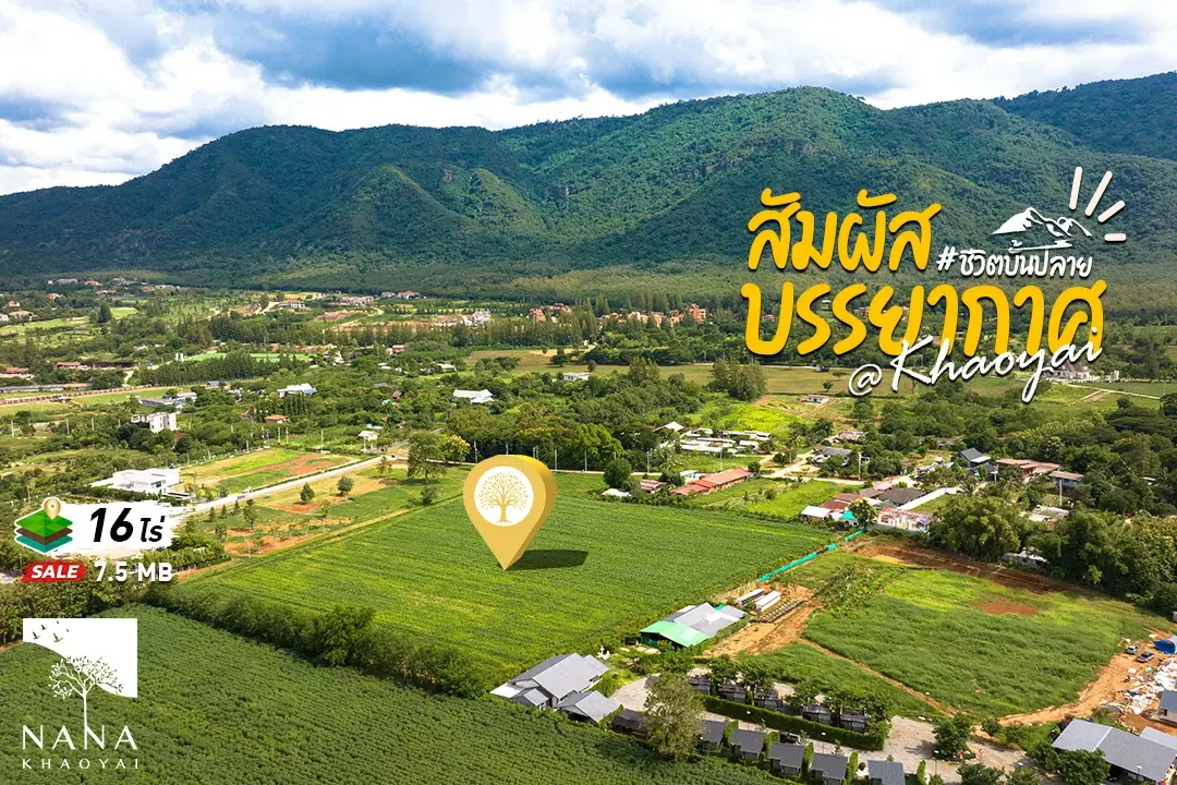 ขายที่ดินเขาใหญ่ ตรงข้ามToscana Valley ทำเลทอง ต.หมูสี  วิวเขาใหญ่แบบ PANORAMA สำหรับนักลงทุน