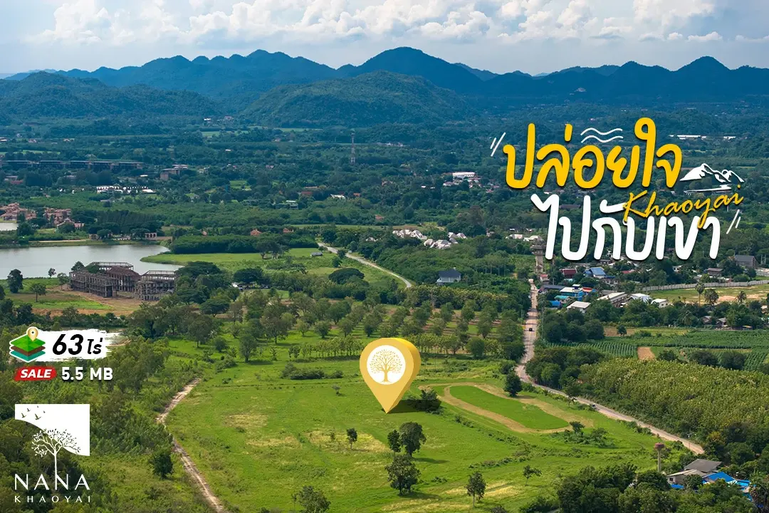 ขายที่ดินเขาใหญ่  Panorama View  แปลงใหญ่ ติดถนนลาดยาง ต.หมูสี  ทำเลทองสำหรับนักลงทุน