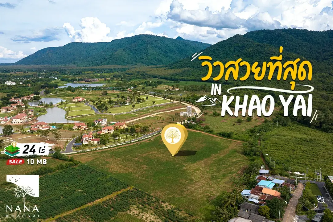 ขาย ที่ดินเขาใหญ่ Entry พรีเมียม – ทำเลทองเขาใหญ่ใกล้โรงแรมและคอนโด ชื่อดัง เหมาะ Land Bank/แบ่งล็อต/พูลวิลล่า