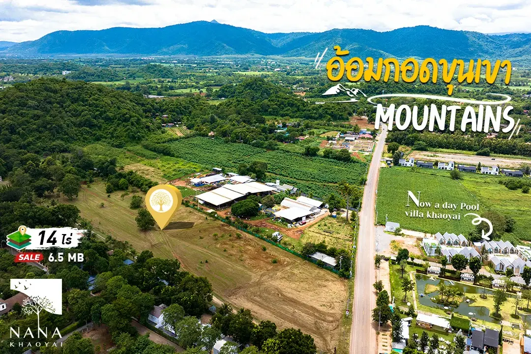 ขาย ที่ดินเขาใหญ่  โซนท่าช้าง หน้าติด ถนนลาดยาง + ไฟฟ้าผ่านหน้าแปลง  เดินทางสะดวก ใกล้ ถ.ธนะรัชต์‑เมืองปากช่องพื้นที่