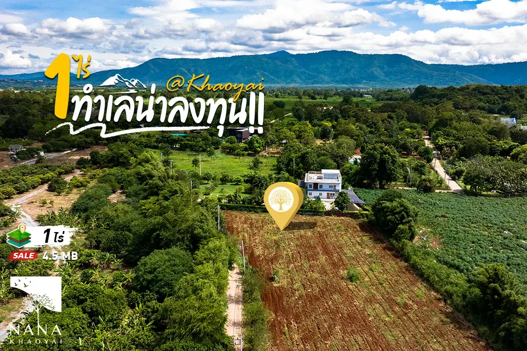 ขายด่วน ! ที่ดินเขาใหญ่ แปลงเล็กทำเลท่องเที่ยว วิวเขา Panorama | เพียง 4.5 ลบ./ไร่ ใกล้ U Khaoyai / Moa Villa / Blue Monte’