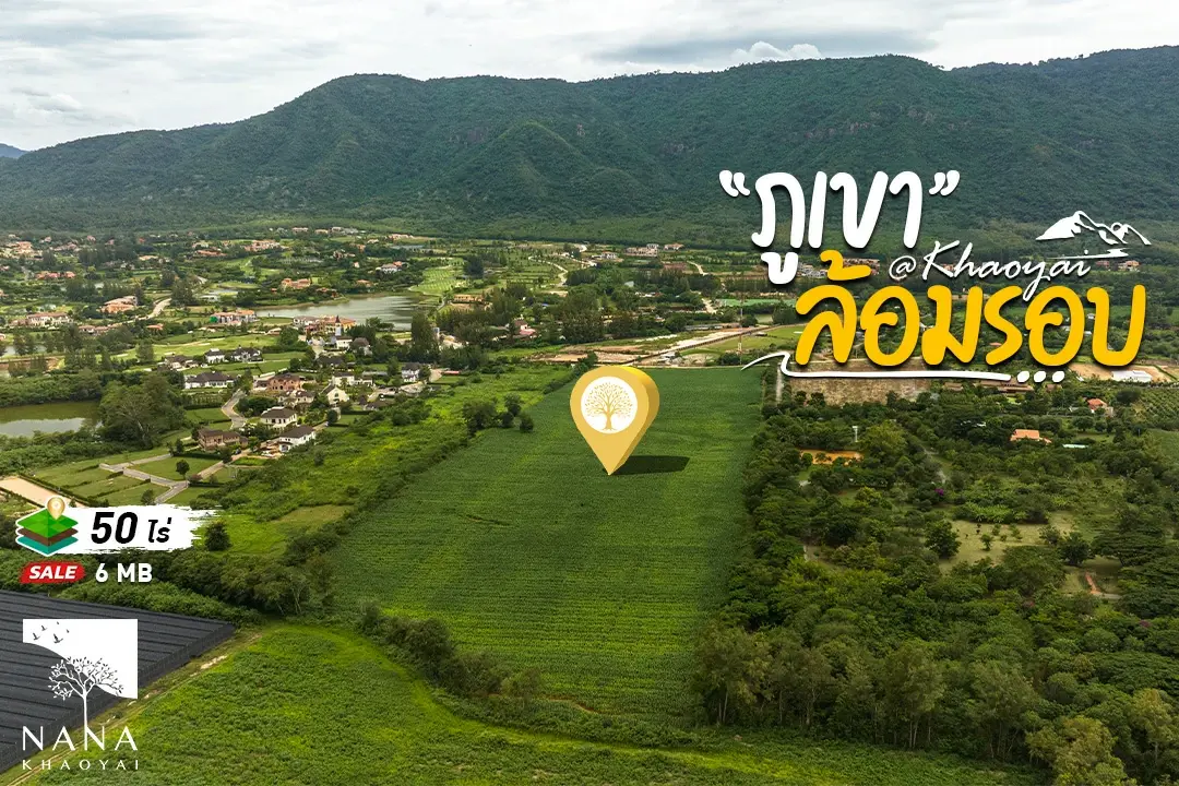 ขายที่ดินเขาใหญ่ วิวเขาเต็มตา แปลงโล่ง วางผังง่าย ใกล้คอร์ริดอร์ Toscana เพียง 6 กม. หน้าแปลงรับเขาชัด