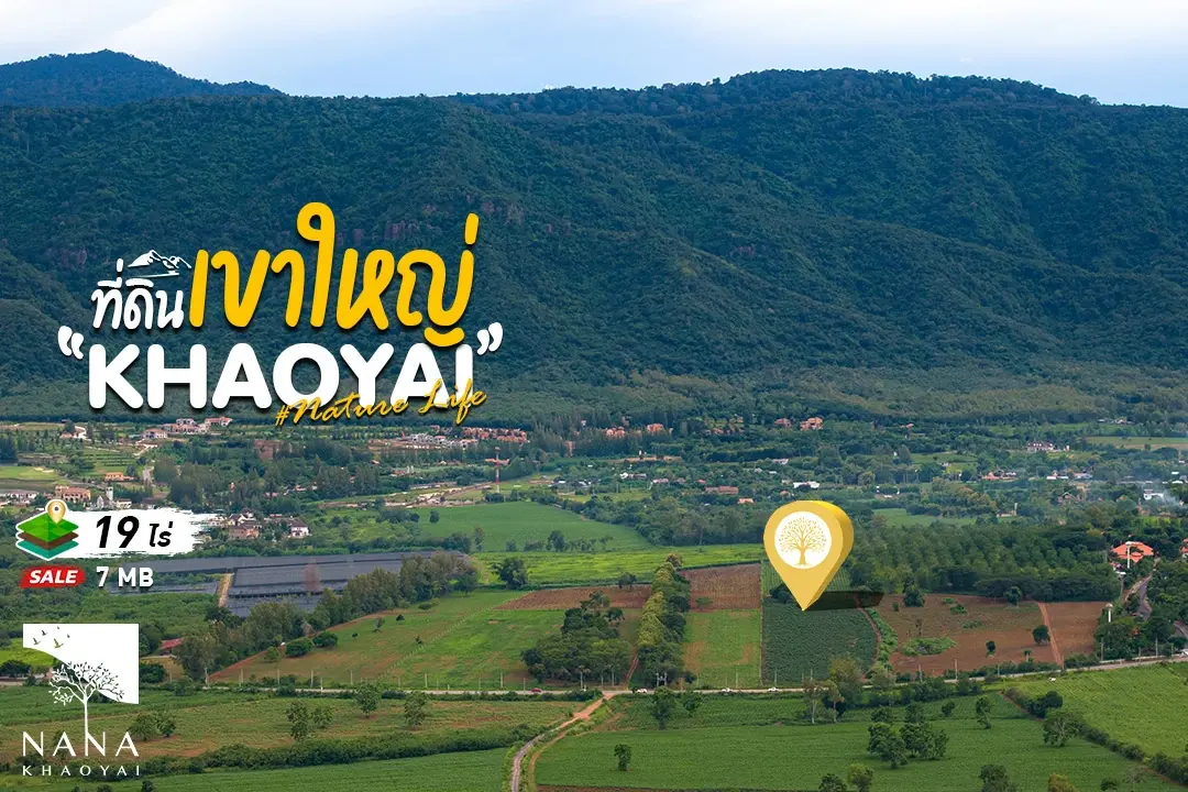 ขายที่ดินเขาใหญ่ ทำเลทอง เส้น Toscana (ถ.3052) ใกล้โรงแรมและสถานที่ท่องเที่ยว ชื่อดังมากมาย เหมาะสำหรับนักลงทุน