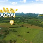 ขายด่วน ที่ดินเขาใหญ่ แปลงคุ้มสุดในหมูสี! ราคาต่ำกว่าตลาดในโซนนี้  ทรงแปลง สามเหลี่ยมหน้ากว้าง เป็นซิกเนเจอร์ โอกาสที่ห้ามพลาด