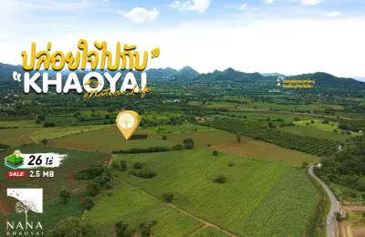 ขายด่วน ที่ดินเขาใหญ่ แปลงคุ้มสุดในหมูสี! ราคาต่ำกว่าตลาดในโซนนี้  ทรงแปลง สามเหลี่ยมหน้ากว้าง เป็นซิกเนเจอร์ โอกาสที่ห้ามพลาด