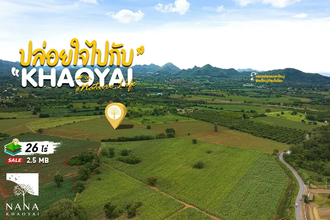 ขายด่วน ที่ดินเขาใหญ่ แปลงคุ้มสุดในหมูสี! ราคาต่ำกว่าตลาดในโซนนี้  ทรงแปลง สามเหลี่ยมหน้ากว้าง เป็นซิกเนเจอร์ โอกาสที่ห้ามพลาด