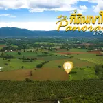 ขายด่วน ที่ดินเขาใหญ่ ต.หมูสี ราคาเพียง 3.5 ลบ./ไร่ ต่ำกว่าตลาด 1 ลบ./ไร่  วิวภูเขารอบทิศ พื้นที่สี่เหลี่ยมใช้งานง่าย โอกาสทองของนักลงทุนเขาใหญ่