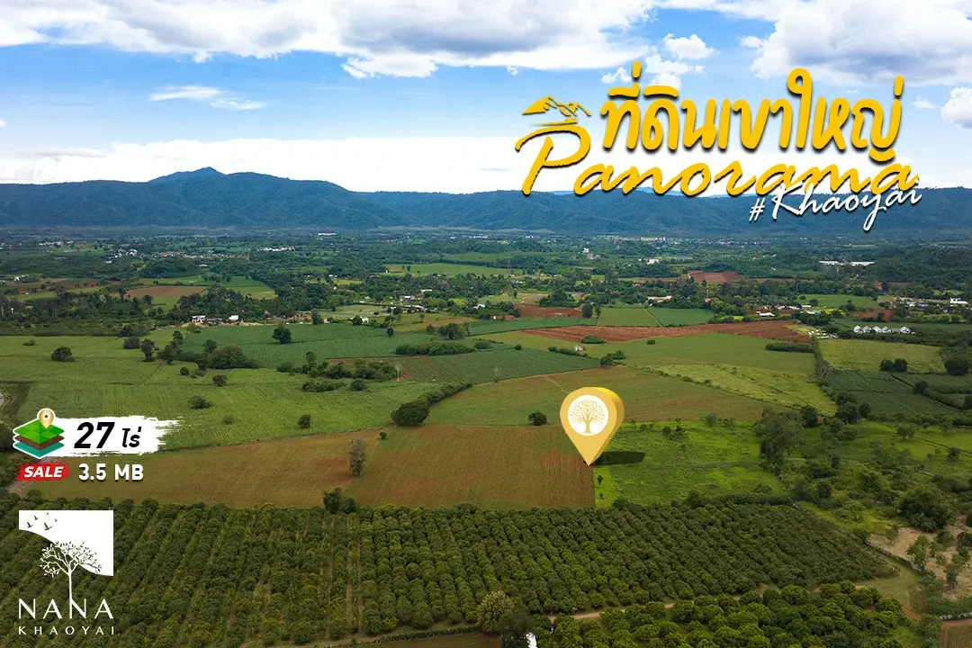 ขายด่วน ที่ดินเขาใหญ่ ต.หมูสี ราคาเพียง 3.5 ลบ./ไร่ ต่ำกว่าตลาด 1 ลบ./ไร่  วิวภูเขารอบทิศ พื้นที่สี่เหลี่ยมใช้งานง่าย โอกาสทองของนักลงทุนเขาใหญ่