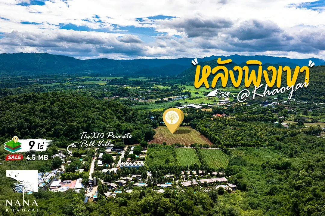 ขาย ที่ดินเขาใหญ่ ทำเล Community‑Edge  ใกล้รีสอร์ต/คาเฟ่ดัง  แต่อยู่ลึกพอให้ความเป็นส่วนตัว ราคาดีสำหรับนักพัฒนา–นักลงทุน