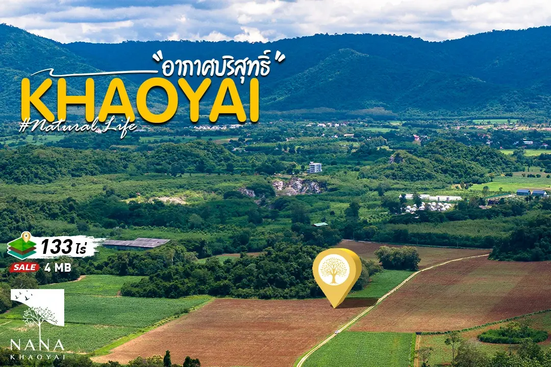 ขายที่ดินเขาใหญ่ ต.หมูสี ทำเลอยู่ในโซนขยายตัว ที่ดินทำเลทอง  เห็นทิวเขาซ้อนเป็นเลเยอร์สวยชัดจากทุกมุม ตอบโจทย์นักลงทุนและ Developer  ที่ต้องการโครงการขนาดใหญ่