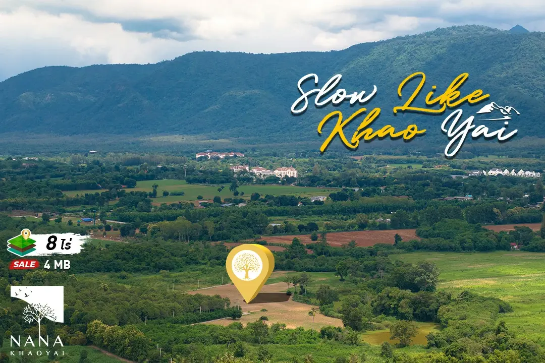 ขายที่ดินเขาใหญ่ แปลงใหญ่ทำเลหมูสี ท่าช้าง 8ไร่กว่า วิวภูเขาล้อมรอบ  ใกล้ธนะรัชต์ ลงทุนต่อยอดง่าย