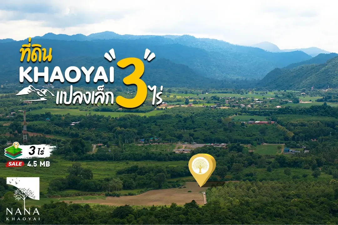 ด่วน ขายที่ดินเขาใหญ่แปลงเล็ก แนวเส้นทางท่องเที่ยวหลักของเขาใหญ่  (โซนหมูสี ท่าช้าง) ที่เป็นจุดเชื่อมระหว่างโครงการหรู