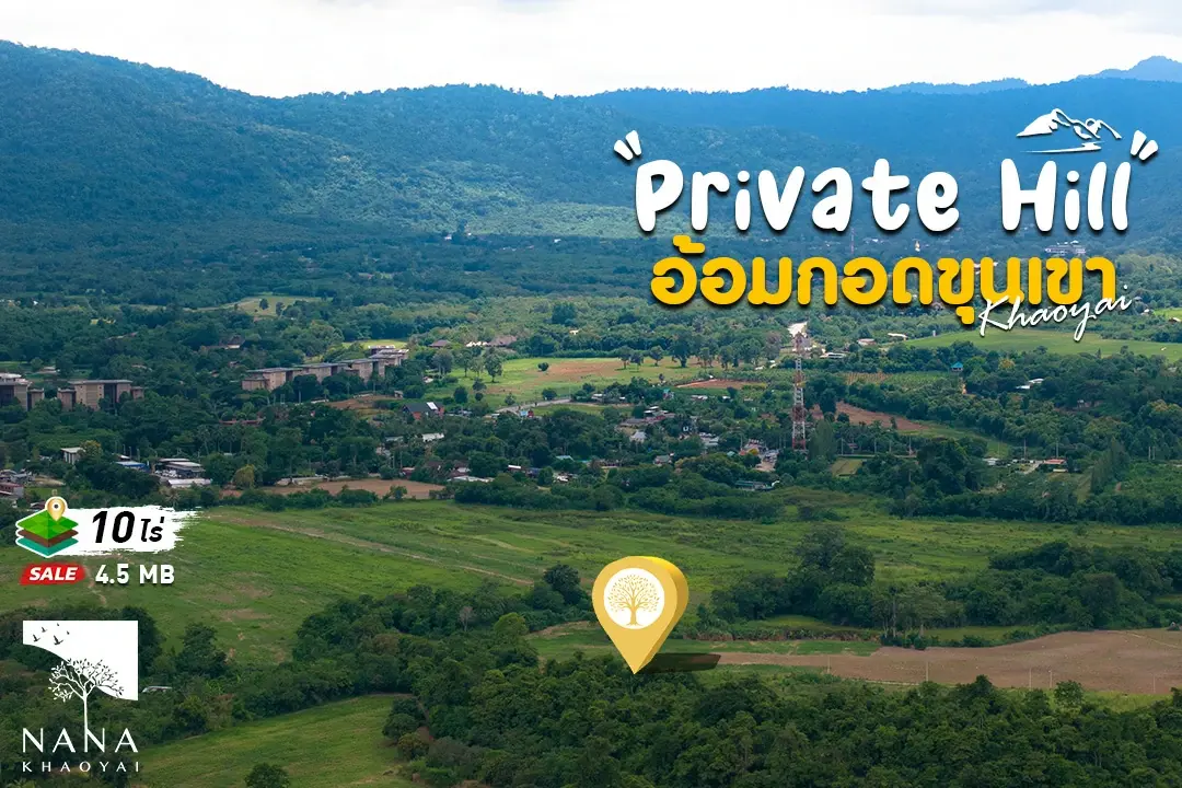 ขายที่ดิน แปลงใหญ่บนเส้นทางท่องเที่ยวหมูสี ท่าช้าง วิวเปิดโล่ง ราคาดีต่อไร่  พร้อมต่อยอดเป็นโปรเจกต์คุณภาพ