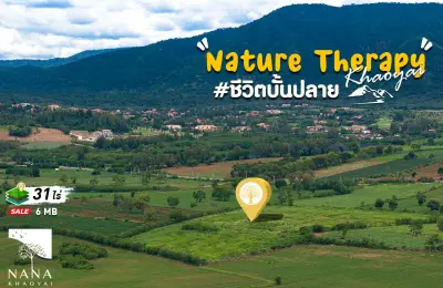 โอกาสของนักลงทุนอสังหา! ที่ดินเขาใหญ่ 31 ไร่ วิวพาโนรามา  ราคาต่ำกว่าตลาดในโซนเดียวกันกว่า 20% ทำเลระดับ “Golden Zone”  ของ Toscana Valley