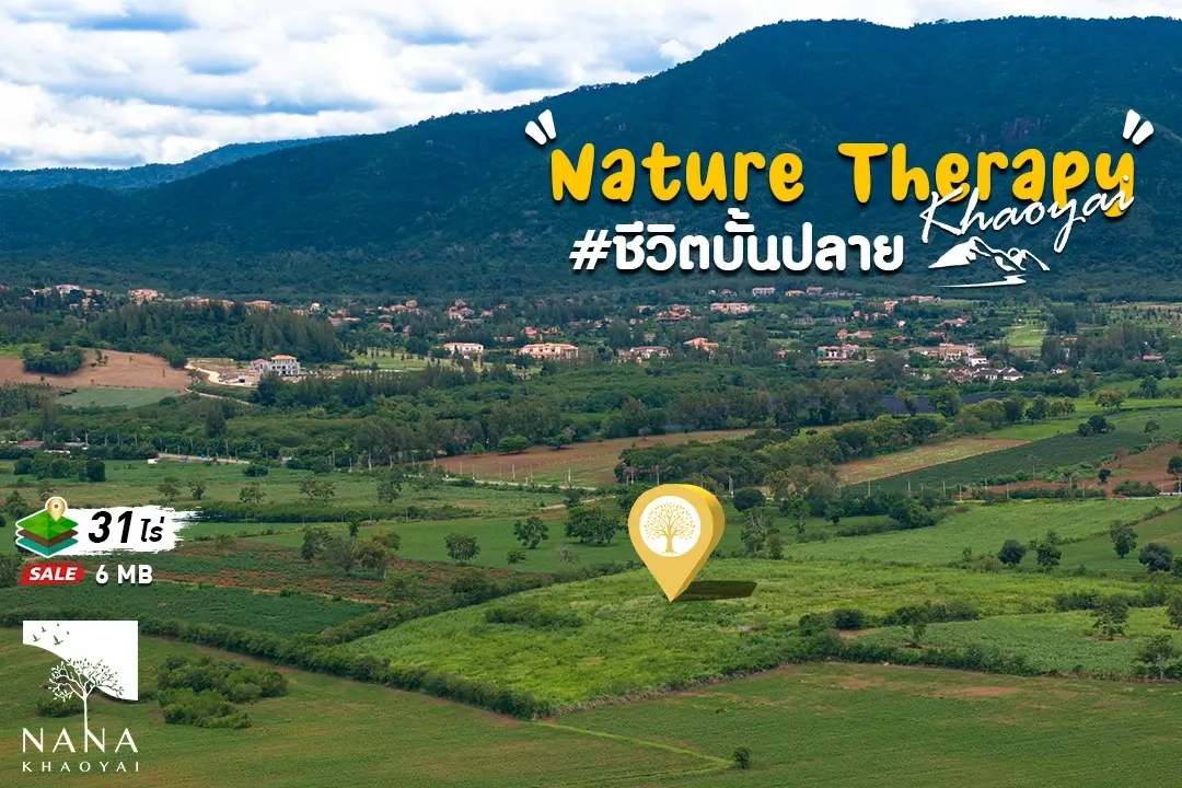 โอกาสของนักลงทุนอสังหา! ที่ดินเขาใหญ่ 31 ไร่ วิวพาโนรามา  ราคาต่ำกว่าตลาดในโซนเดียวกันกว่า 20% ทำเลระดับ “Golden Zone”  ของ Toscana Valley