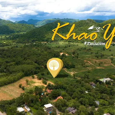 ที่ดินเขาใหญ่แปลงใหญ่กว่า 95 ไร่ บนเส้นถนน 3052 โอบวิวภูเขาแท้หลังแปลง ใกล้คีรีมายา  วังไทร ทำเลทองระดับแลนด์มาร์กของ นักลงทุนอสังหาฯ