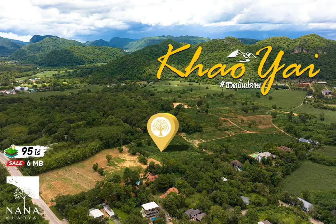 ที่ดินเขาใหญ่แปลงใหญ่กว่า 95 ไร่ บนเส้นถนน 3052 โอบวิวภูเขาแท้หลังแปลง ใกล้คีรีมายา  วังไทร ทำเลทองระดับแลนด์มาร์กของ นักลงทุนอสังหาฯ