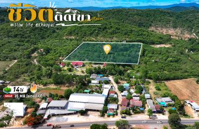 วิวโอบภูเขาแบบนี้...หาได้ยากในเขาใหญ่! ที่ดินแปลงสวยทำเลปากช่อง-หนองสาหร่าย