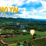 วิวเขาสวย พื้นที่ราบพร้อมถนนรอบแปลง ที่ดินขนาด 11-3-72 ไร่ ทำเลหนองสาหร่าย