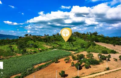 ขายด่วน10-3-37ไร่ ทำเลหนองสาหร่าย พื้นที่เนินไล่ระดับสวยเหมาะสร้างพูลวิลล่ารีสอร์ตท่ามกลางธรรมชาติ