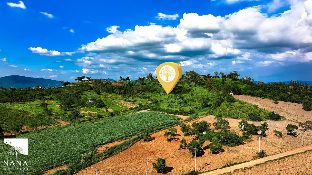 ขายด่วน10-3-37ไร่ ทำเลหนองสาหร่าย พื้นที่เนินไล่ระดับสวยเหมาะสร้างพูลวิลล่ารีสอร์ตท่ามกลางธรรมชาติ