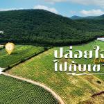 ที่ดินแปลงใหญ่ 12 ไร่กว่า อยู่กึ่งกลางระหว่าความสะดวกสบายและความธรรมชาติ อากาศดีเงียบสงบมีไฟฟ้าพร้อม