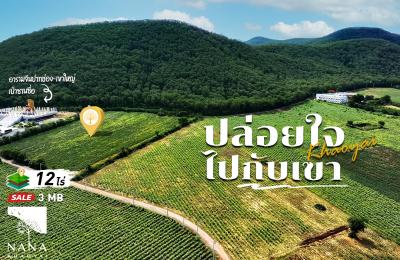 ที่ดินแปลงใหญ่ 12 ไร่กว่า อยู่กึ่งกลางระหว่าความสะดวกสบายและความธรรมชาติ อากาศดีเงียบสงบมีไฟฟ้าพร้อม