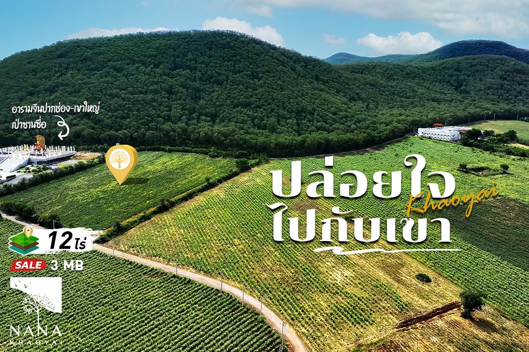 ที่ดินแปลงใหญ่ 12 ไร่กว่า อยู่กึ่งกลางระหว่าความสะดวกสบายและความธรรมชาติ อากาศดีเงียบสงบมีไฟฟ้าพร้อม