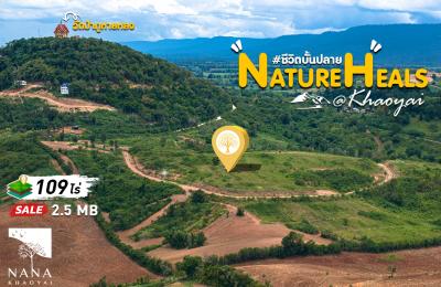 ที่ดินเนินเขา  ใจกลางวังกะทะ วิว 360 องศา มองเห็นยอดวัดภูหายหลงเด่น