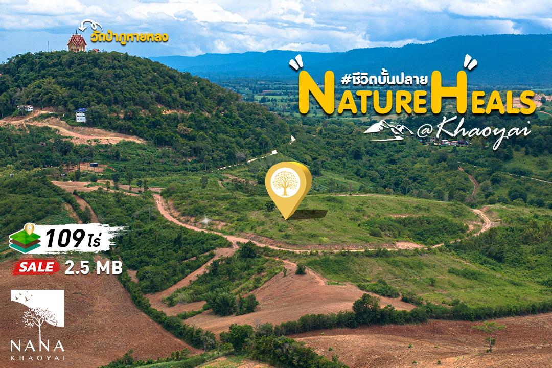 ที่ดินเนินเขา  ใจกลางวังกะทะ วิว 360 องศา มองเห็นยอดวัดภูหายหลงเด่น