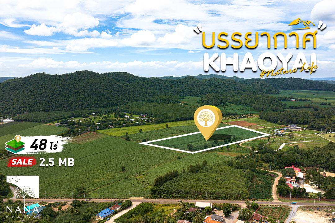 พบกับโอกาสการลงทุนที่ไม่ควรพลาด  ที่ดิน 48 ไร่ ใกล้สถานที่ท่องเที่ยวดังและสิ่งอำนวยความสะดวกครบครัน